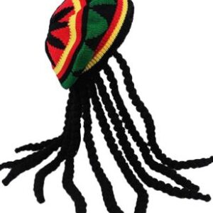 Rasta hat with braids