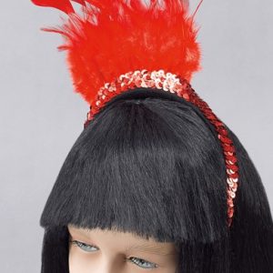 Feather headdress