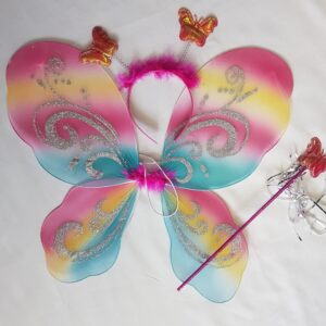 Rainbow color wing set