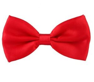 Red satin bow tie