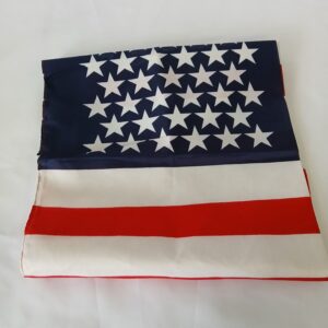USA bandanna